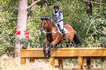27 - Sahrendorf Gelände CCI2* 27 - Sahrendorf Gelände CCI2*