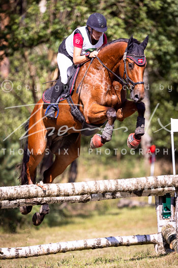 27 - Sahrendorf Gelände CCI2*