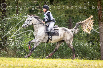 29 - Sahrendorf Gelände CCI1*-Intro