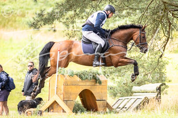 29 - Sahrendorf Gelände CCI1*-Intro