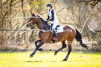Reitsport 2026