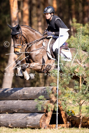 02 - Sahrendorf Geländepferde A