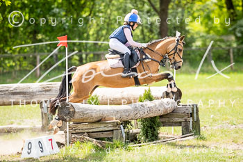 Reitsport 2025 Reitsport 2025
