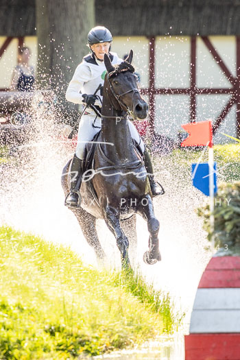 11 - Luhmühlen Gelände CCI3*-S 11 - Luhmühlen Gelände CCI3*-S