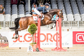 CCI1 Springen