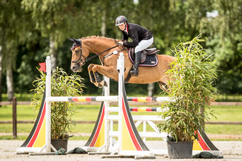 CCI1 Springen