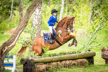 Pfingstturnier Wesenberg