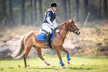 Geländereiter-Prüfung CDV-Cup Geländereiter-Prüfung CDV-Cup