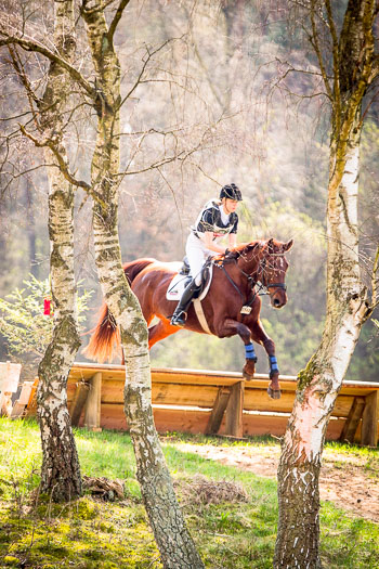 Geländepferdeprüfungen Kl. E und A