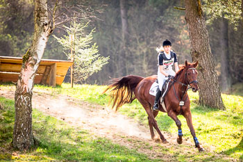 Geländepferdeprüfungen Kl. E und A