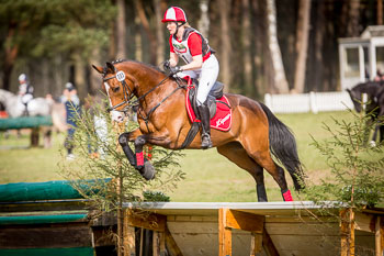 Geländepferdeprüfungen Kl. E und A