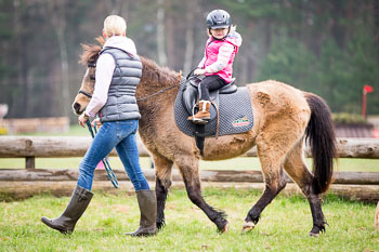 Führzügel Cross Country