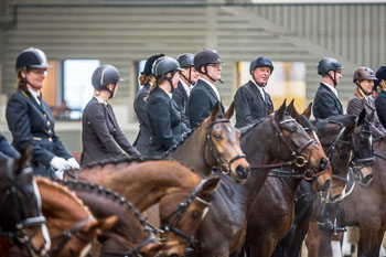 Neujahrsreiten Luhmühlen