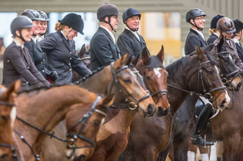 Neujahrsreiten Luhmühlen