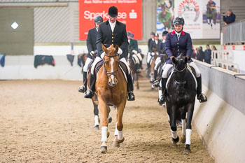 Neujahrsreiten Luhmühlen