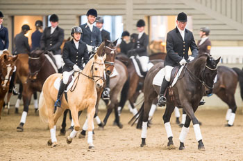 Neujahrsreiten Luhmühlen