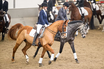 Neujahrsreiten Luhmühlen