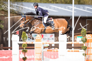 06 - Luhmühlen Springen S*** mit Stechen