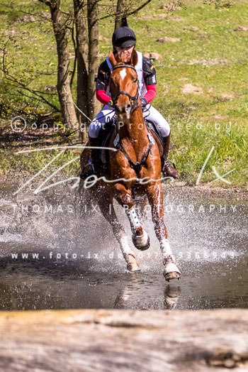 07 - CIC1* Luhmühlen 07 - CIC1* Luhmühlen