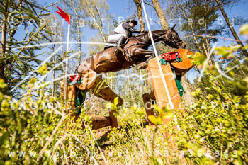 07 - CIC1* Luhmühlen 07 - CIC1* Luhmühlen