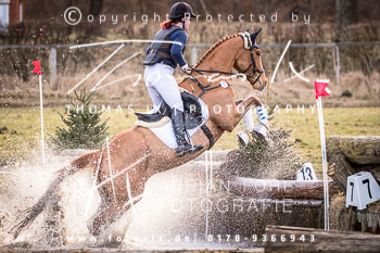 03 - Geländepferdeprüfung A