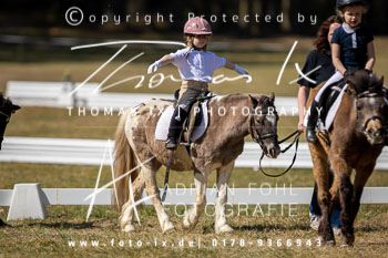 11 - Sahrendorf Führzügel Wettbewerb