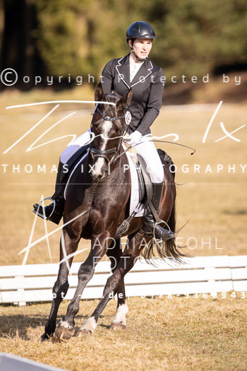 14 - Sahrendorf Dressurwettbewerb