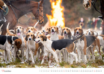 Kalender Rote Jagd 2025