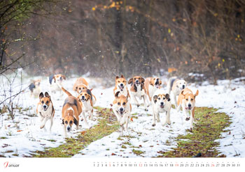 Kalender Rote Jagd 2025