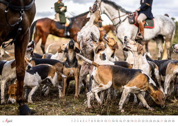 Kalender Rote Jagd 2025